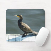 Tapis De Souris Cormorant (Avec souris)