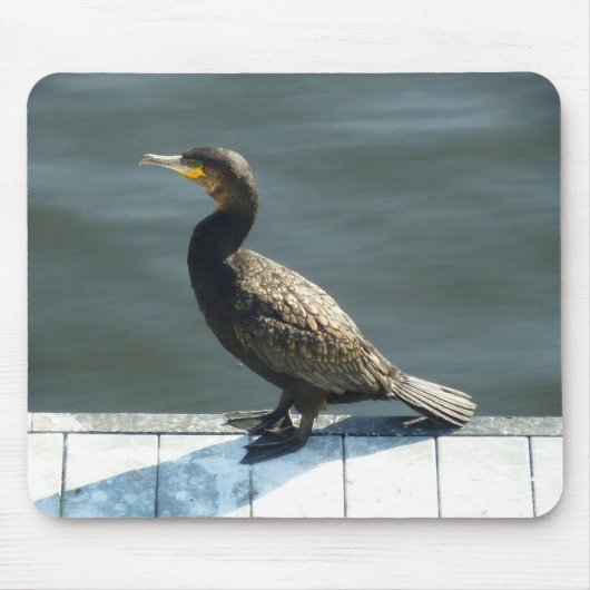 Tapis De Souris Cormorant (Devant)