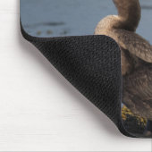 Tapis De Souris Cormorant à double poitrine (Coin)