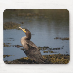Tapis De Souris Cormorant à double poitrine