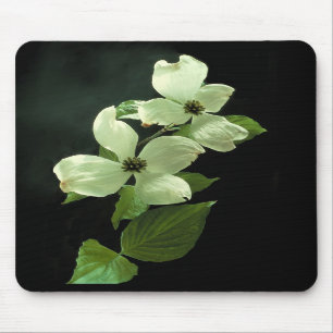 Tapis De Souris Cornouiller Blossum Mousepad