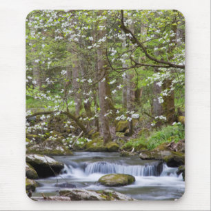 Tapis De Souris Cornouillers Great Smoky Mountain, Tennessee