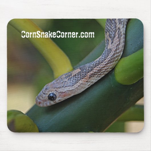Tapis De Souris CornSnakeCorner Mousepad (Devant)