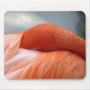 Tapis De Souris Correspondance Flamant rose
