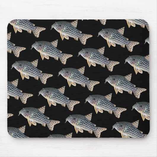 Tapis De Souris Corydoras sterbai , No.04 (Devant)
