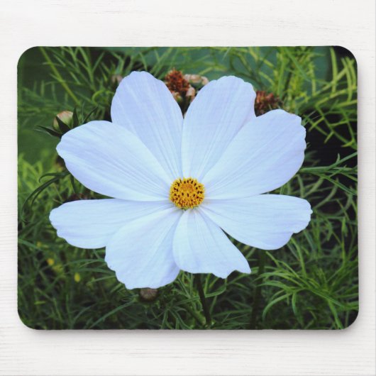 Tapis De Souris Cosmos blancs (Devant)