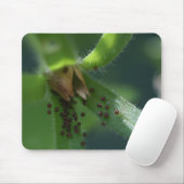 Tapis De Souris Cosse Mousepad de pétunia d'éclat (Avec souris)