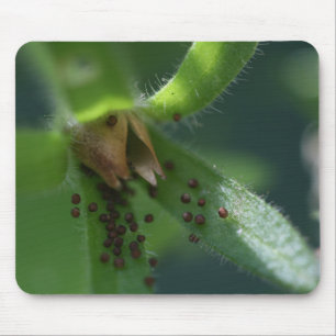 Tapis De Souris Cosse Mousepad de pétunia d'éclat