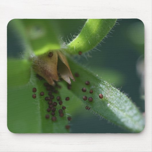 Tapis De Souris Cosse Mousepad de pétunia d'éclat (Devant)