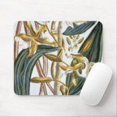Tapis De Souris Cosses de vanille, plat 65, de 'collection (Avec souris)