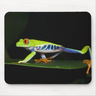 Tapis De Souris Costa Rica, Grenouille aux yeux rouges (Agalychnis