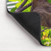 Tapis De Souris Costa Rica - Happy Lazy Sloth, Antonio Manuel NP (Coin)