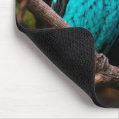 Tapis De Souris Cotinga rayée (Coin)