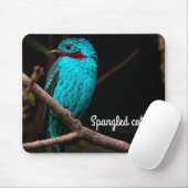 Tapis De Souris Cotinga rayée (Avec souris)