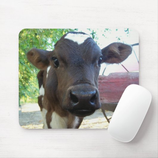 Tapis De Souris Coton (Avec souris)