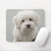 Tapis De Souris Coton de Tulear Puppy de Maisie (Avec souris)