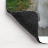 Tapis De Souris coton De tulear sur le banc (Coin)