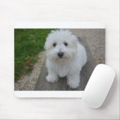 Tapis De Souris coton De tulear sur le banc (Avec souris)