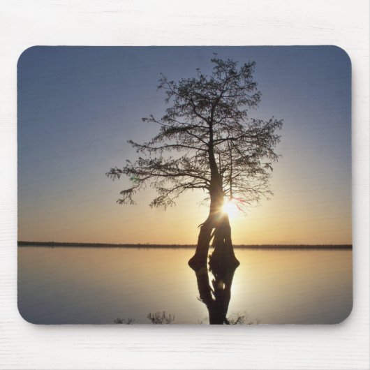Tapis De Souris Coucher de soleil derrière un arbre (Devant)