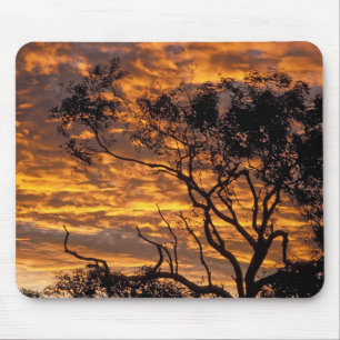 Tapis De Souris Coucher de soleil, parc national d'Uluru-Kata Tjut
