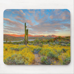 Tapis De Souris Coucher de soleil sur paysage désertique