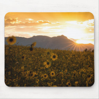 Tapis De Souris Coucher du soleil de tournesol