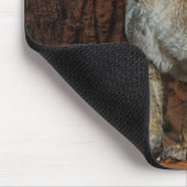 Tapis De Souris Cougar (Coin)