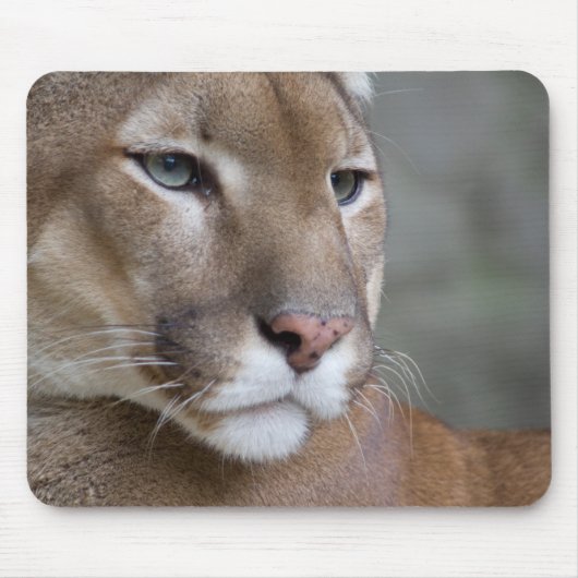 Tapis De Souris COUGAR face yeux macro chats sauvages (Devant)