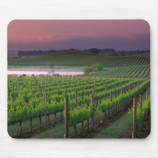 Tapis De Souris Couleur du lever de soleil dans le brouillard éloi (Devant)