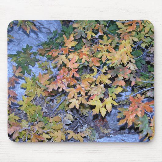 Tapis De Souris Couleurs 1 de chute (Devant)