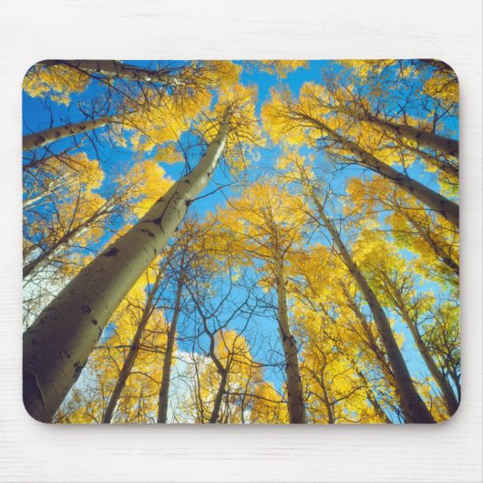 Tapis De Souris Couleurs automnales d'Aspen 2 (Devant)