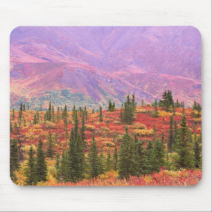 Tapis De Souris Couleurs d'automne dans le parc national Denali