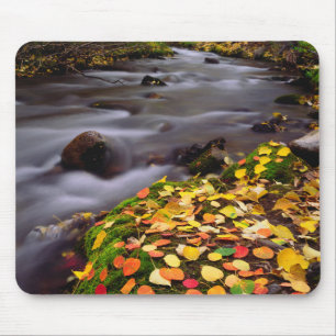 Tapis De Souris Couleurs d'automne le long du ruisseau McGee