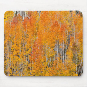 Tapis De Souris Couleurs d'automne sur Aspen Groves