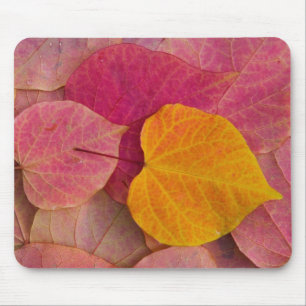 Tapis De Souris Couleurs d'automne sur feuilles tombées de Forest