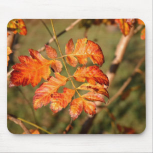 Tapis De Souris Couleurs Mousepad de feuille d'automne