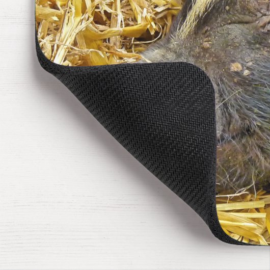 TAPIS DE SOURIS COUPER (Coin)