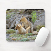 Tapis De Souris Couple de Fox gris d'Amérique du Sud (Lycalopex gr (Avec souris)
