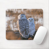 Tapis De Souris Couples de hibou de Milou (Avec souris)