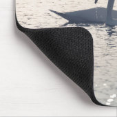 Tapis De Souris Courage Swans Nature Photo (Coin)
