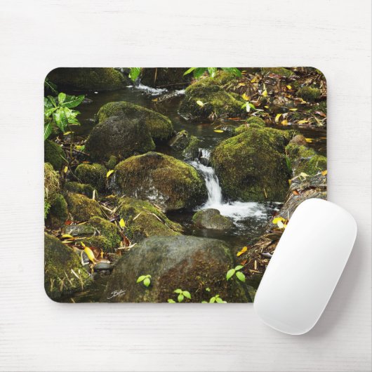 Tapis De Souris Courant 2 de traînée d'automne d'Akaka un plus (Avec souris)