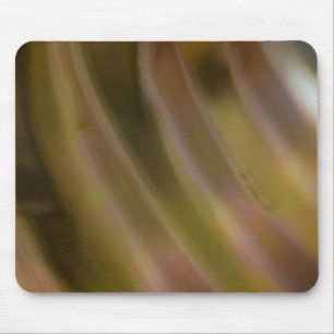 Tapis De Souris Courbe Abstraite