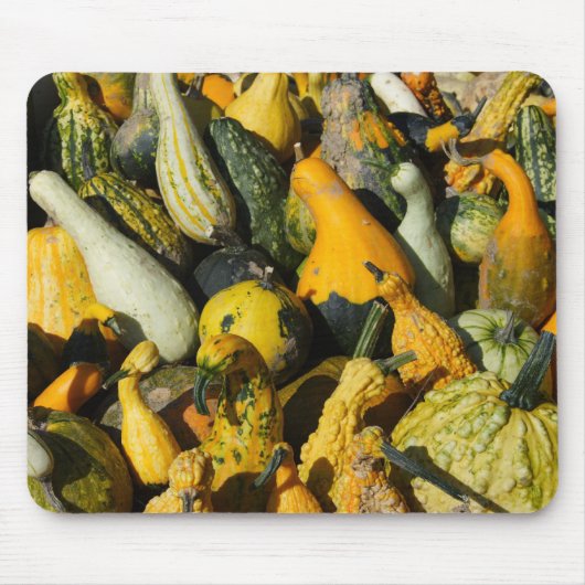 Tapis De Souris Courges (Devant)