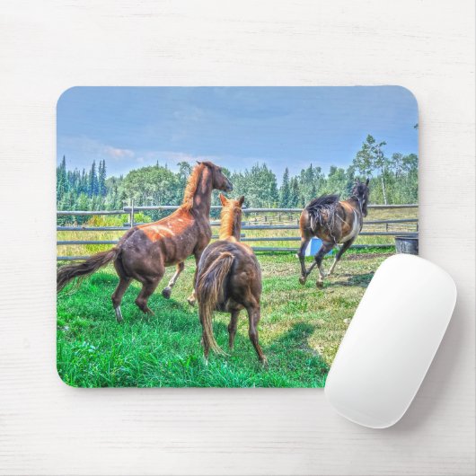 Tapis De Souris Courir Pinto Peinture Gelding & Stallions châtaign (Avec souris)
