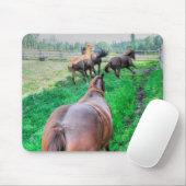 Tapis De Souris Courir Pinto Peinture Gelding & Stallions châtaign (Avec souris)