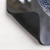 Tapis De Souris Courlan (Coin)
