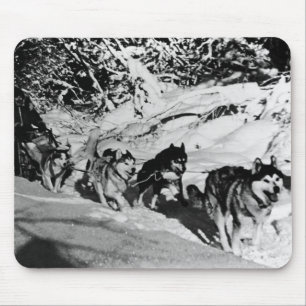 Tapis De Souris Course de traîneau Malamute eskimo Vintage Alaska