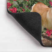 Tapis De Souris Courses de corgi avec des papillons (Coin)