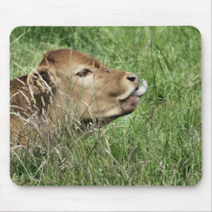 Tapis De Souris COW Cute