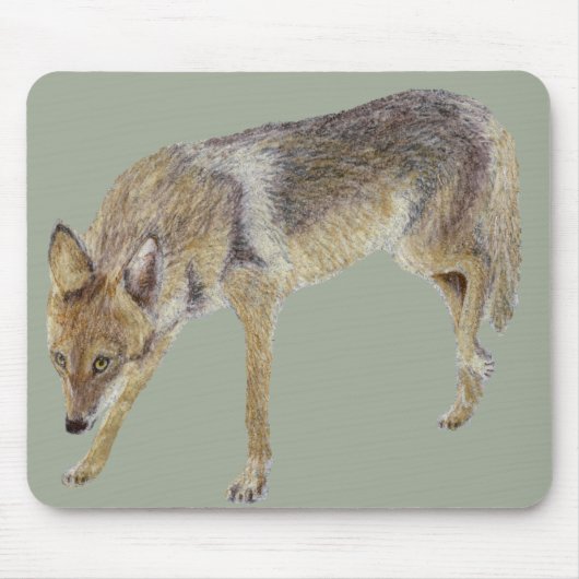 Tapis De Souris Coyote (Devant)